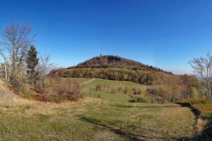 Blick auf den Geisingberg