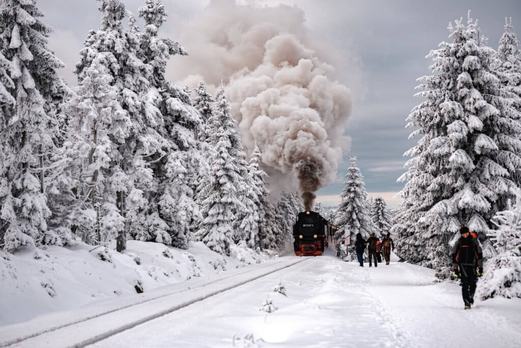 Schmalspurbahn Harz im Winterwald