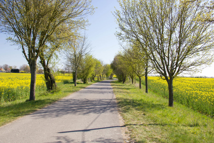 Museumstour Uckermark